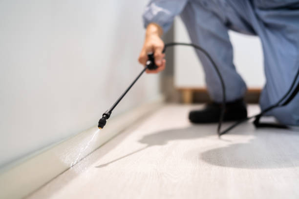 Licensed Mosquito Control service in Biloxi, MS - Show Me Pest Control