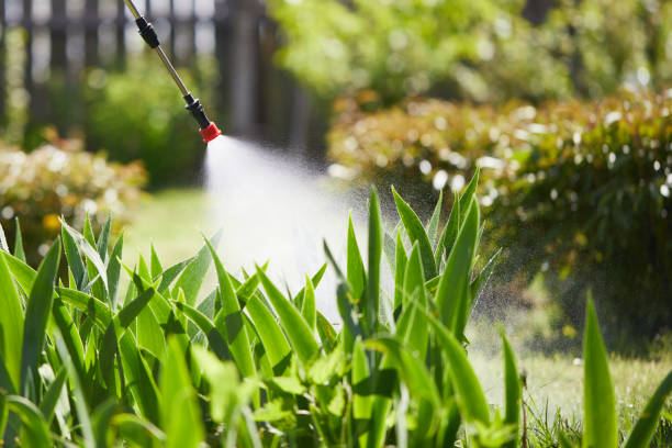 24/7 Emergency Mosquito Control experts in Biloxi, MS