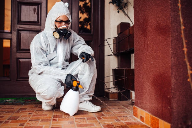 Reliable Mosquito Control contractor in Biloxi, MS by Show Me Pest Control