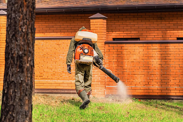 Top rated local Mosquito Control specialists in Biloxi, MS